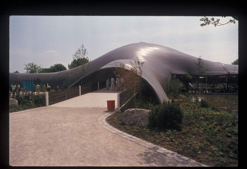The Multihalle&rsquo;s structure was designed by Otto in collaboration with architect Carlfried Mutschler. (Photo: Heinrich Klotz)