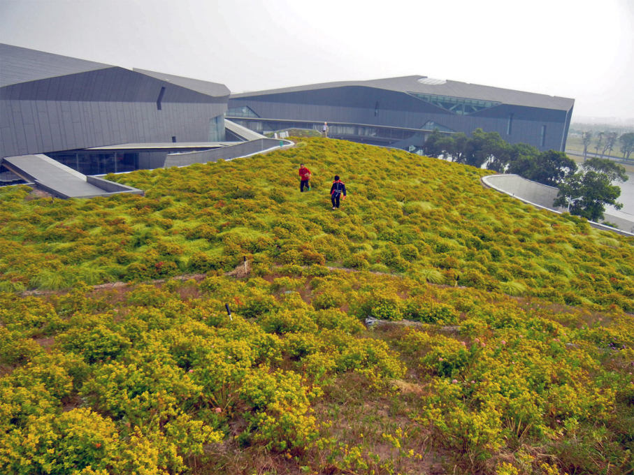 The rolling turf and plant-covered roof... (Photo: Dan Borden)