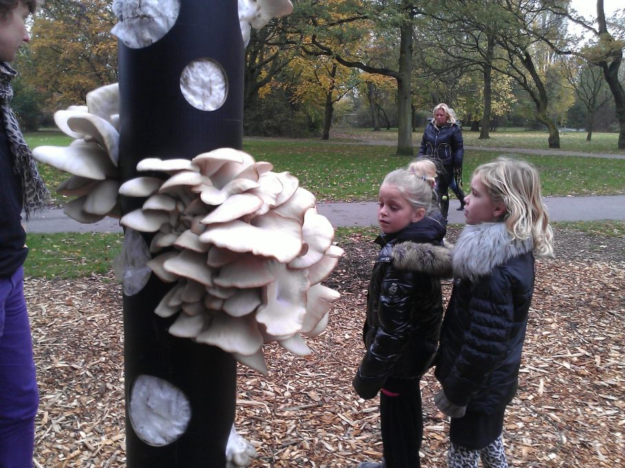 The 2012 Mushroom Trees project in Amsterdam demonstrated how to grow oyster mushrooms on coffee grounds, cardboard and paper. Initiatives like this raise awareness about re-using resources. (Photo: Groundcondition)