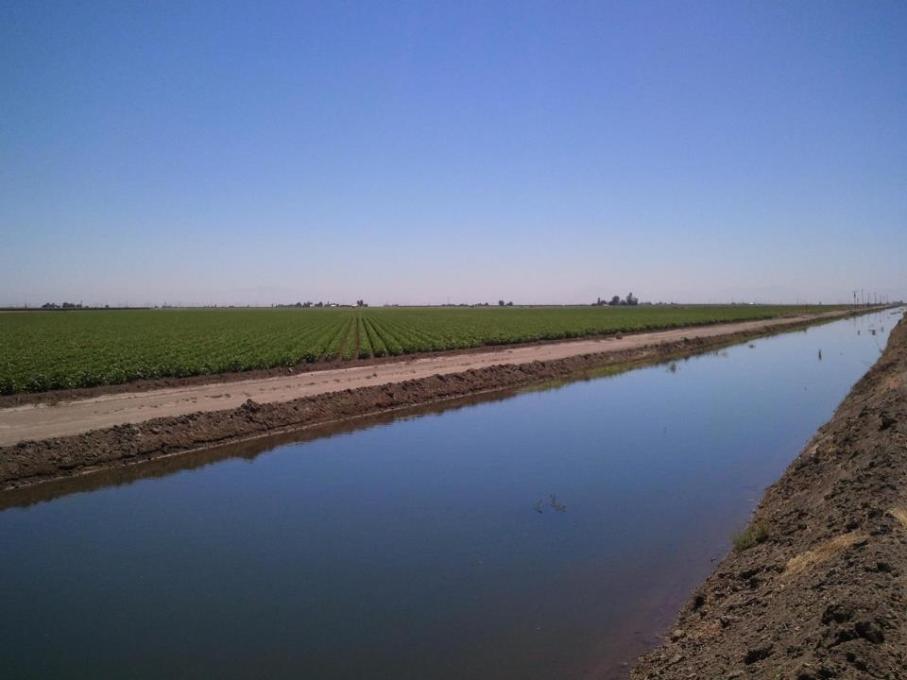 The remaining families established a new 34.4 hectare farm, located in Buttonwillow, California, about a two-hour drive from Los Angeles. (Photo courtesy SCFHEF)