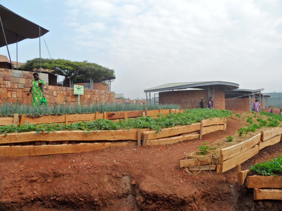 Farming: terraces for learning sustainable subsistence-farming skills. (Photo courtesy Sharon Davis Design)