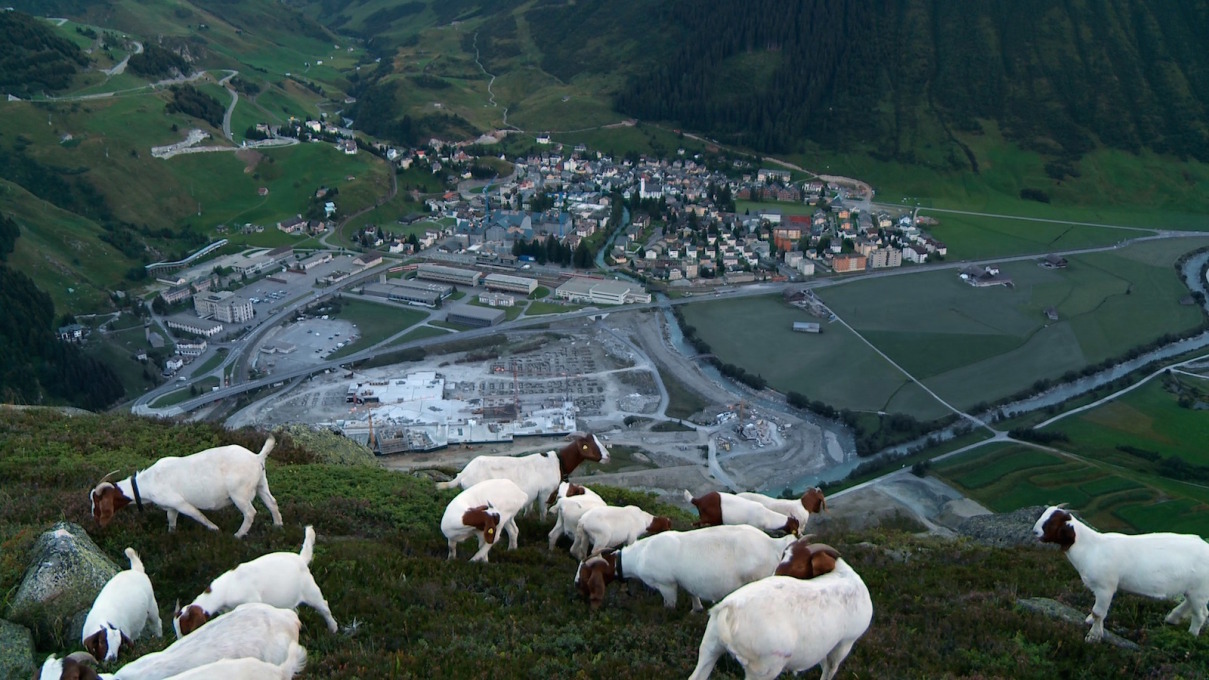 &ldquo;Andermatt, Global Village&rdquo;, directed by Leonidas Bieri &amp; Robin Burgauer, Switzerland, 2014, follows the seven-year development of a Swiss farming village into an luxury resort, complete with six hotels and, of course, a heated ski lift