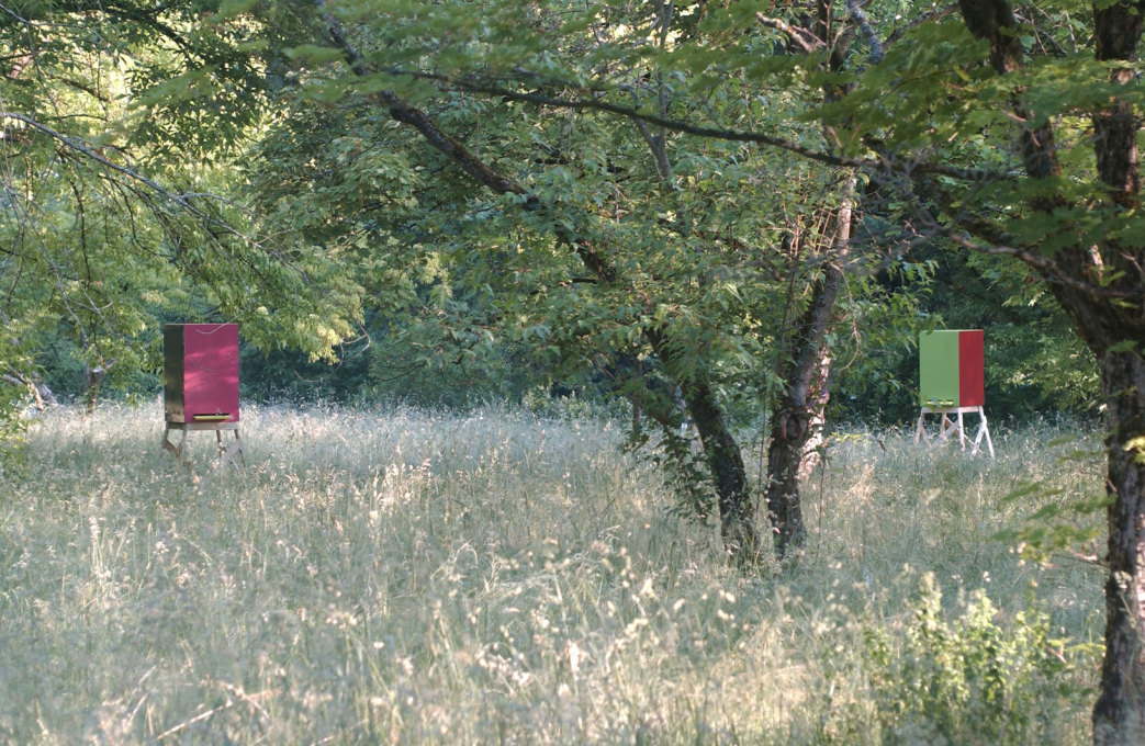 Beehives for Olaf Nicolai, by Sauerbruch Hutton 2002 (Image: &copy;Franz Hoeck/Sauerbruch Hutton)