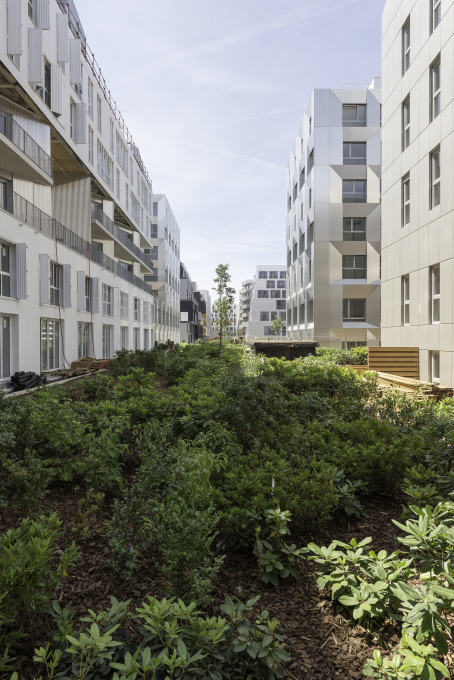 ...with generous spaces for communal gardens. (Photo: Frans Parthesius)