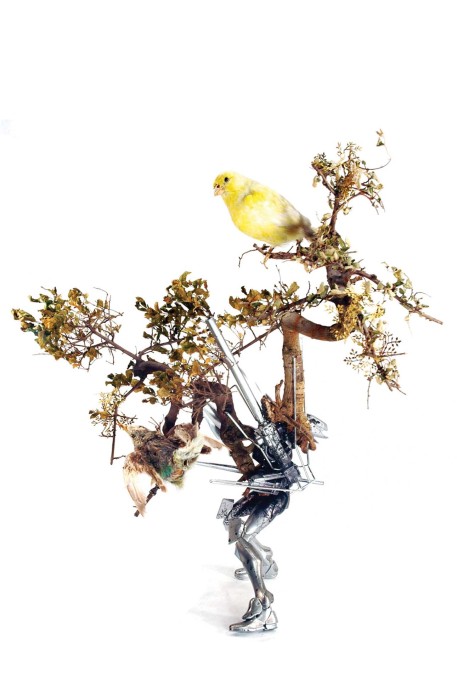 &ldquo;Migrating Forest&rdquo; from &ldquo;Specimens of Unnatural History&rdquo;, 2011. (Photo: Liam Young)