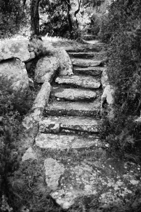 &ldquo;...some of its steps made from stone blocks...&rdquo; (Photo: Gion von Albertini)