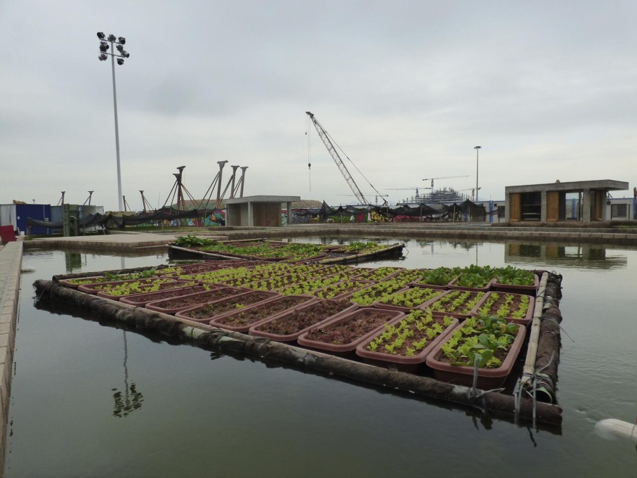 &ldquo;Floating Fields&rdquo; installation by Thomas Chung, School of Architecture, The Chinese University of Hong Kong, urban gardening that draws on the traditional local mulberry tree, silkworm and carp-pond ecosystem of farming. (Photo: Rob Wilson)