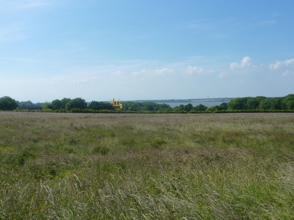 View north with the house nestled in woodland, the Stour Estuary and Suffolk beyond.&nbsp;(Image: FAT)