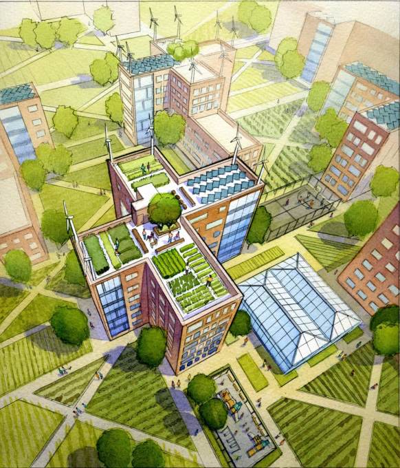 And even utilising roofs for urban agriculture. (Image courtesy Alexander Gorlin Architects)