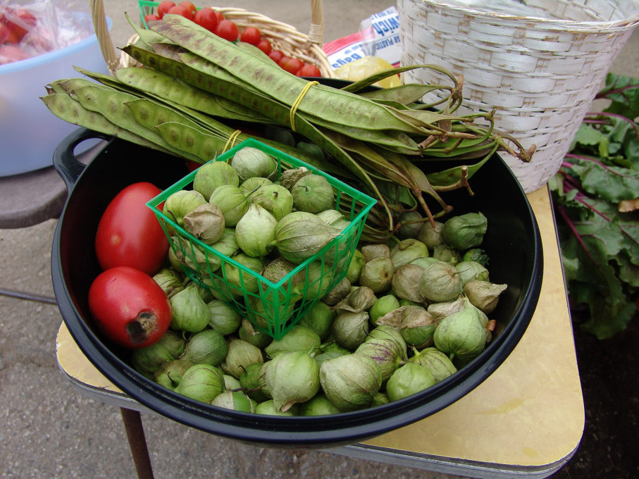 The farm specialised in ethnically diverse foods, often difficult to find in organic markets, such as the tomatillos and guajes seen here. (Photo:&nbsp;Jonathan McIntosh)
