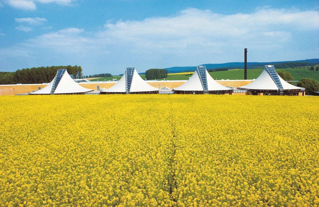 The four production pavilions were completed in 1987 to house&nbsp;Wilkhahn&rsquo;s sewing and upholstery shops. Their sweeping curved tepee-like forms sit comfortably in the landscape.