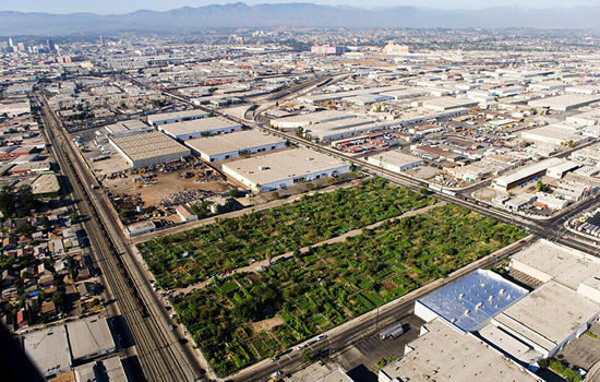 The South Central Farm, located in the middle of an industrial warehouse district, was once the largest urban garden in the USA. (Photo courtesy SCFHEF)