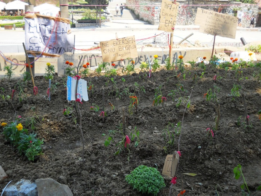 Power to the people. Protesters created an organic garden from a small public park, closed down previously by the municipality.&nbsp;(Photo:&nbsp;Merve Bedir)