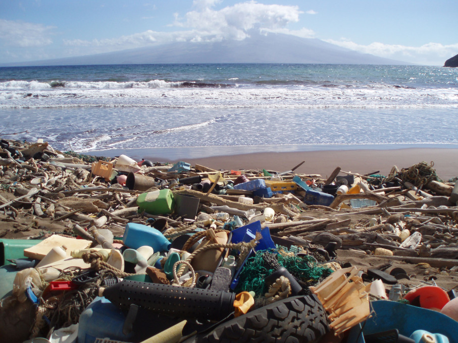 Out to Sea? Plastic and garbage on the beach at Kanapou, USA, 2006, Photo: &copy; NOAA/Marine Debris Program