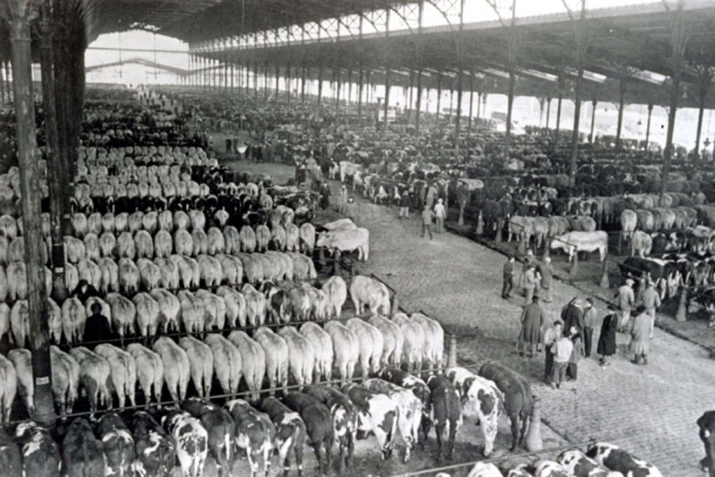 It was still used until recently as an open-air abattoir. (Photo: &copy; Abattoir NV)