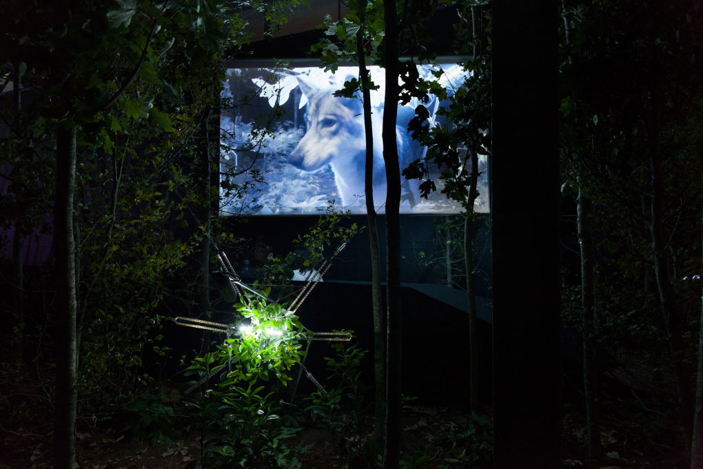 Cohen Van Balen&rsquo;s &ldquo;The Wilds&rdquo; installation in &ldquo;Future Perfect&rdquo;, in which a wolf finds a new symbiosis with a blueberry plant through technology (don&rsquo;t ask). (Photo: Catarina Botelho)