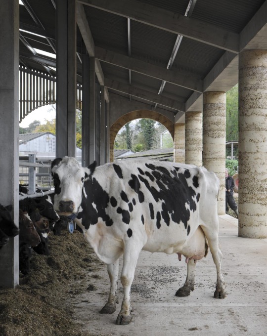 Cowshed in Somerset, UK by Stephen Taylor Architects. (Photo&nbsp;&copy; David Grandorge)