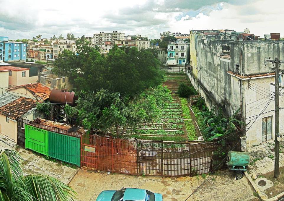 Projects include: Havana's Gardens by Marcello Fantuz, chronicling Cuba's thriving urban gardens which responsed to the food shortages after the breakup of the Soviet Union. (Photo courtesy Marcello Fantuz)