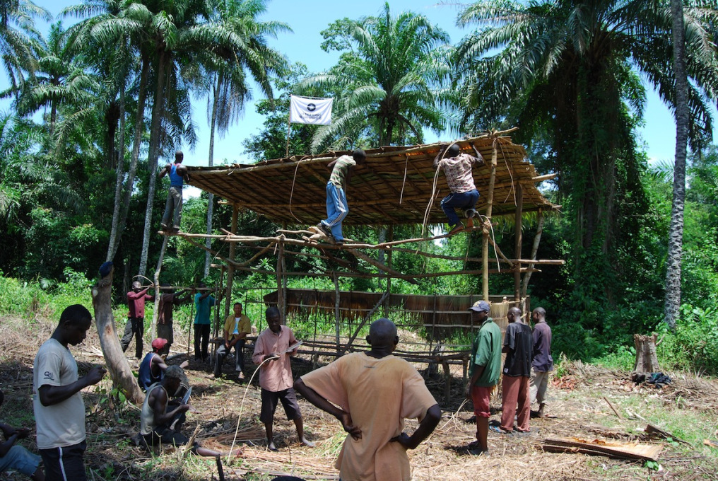 Constructing one of the IHA buildings. The site at Boteka is in the northwestern Congo and adjacent to a former Unilever Palm Oil Plantation.