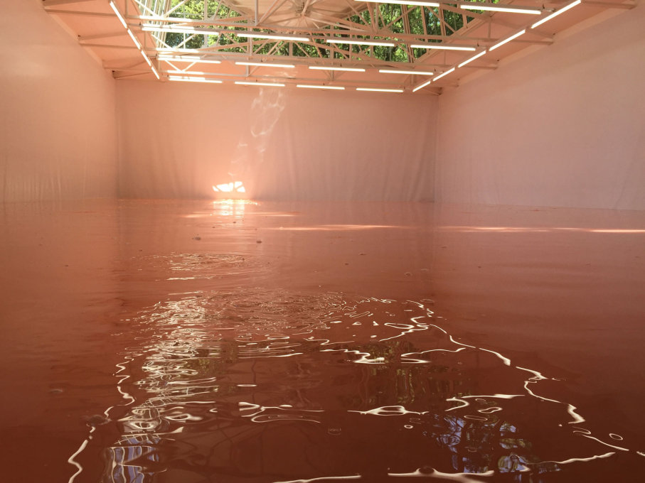 The pink, flooded Swiss Pavilion was scented with cat pee: the installation &ldquo;Our Product&rdquo; by Pamela Rosenkranz.