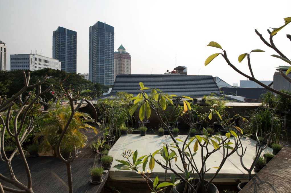 Views out across West Jakarta.
