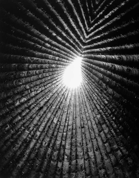 Chapel of&nbsp;Brother Klaus Mechernich, Germany by Peter Zumthor.