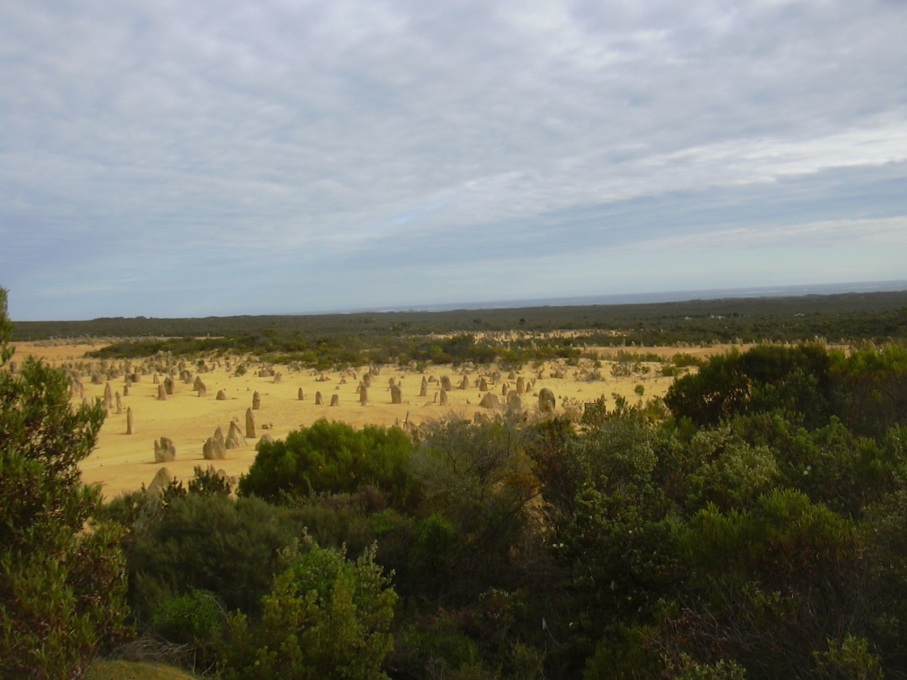 The Pinnacles in Nambung National Park, Western Australia. (Photo: Gabriel Delhey, courtesy Wikimedia Commons)