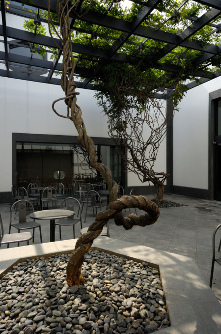 &ldquo;Access to the cafeteria is reached past an open internal court, shaded by a wisteria entangled &ndash; &lsquo;like a lively dragon&rsquo; &ndash; on a slender metal pergola.&rdquo;