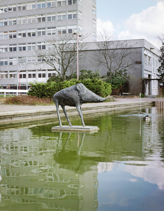 Elisabeth Frink, &ldquo;Boar&rdquo;, 1970, Water Gardens, Harlow town centre. Photograph taken in 1998. (&copy; Historic England Archive)