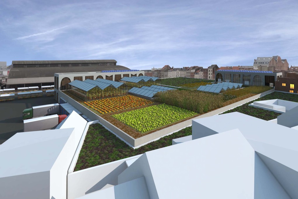 Abbatoir Masterplan rendering showing the new food hall and urban farm. (Image: &copy; Organisation for Permanent Modernity)