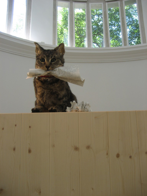 And finally: what if we just put a sweet little kitten inside? (Photo: Liam Gillick&rsquo;s installation at the Arts Biennale 2009)