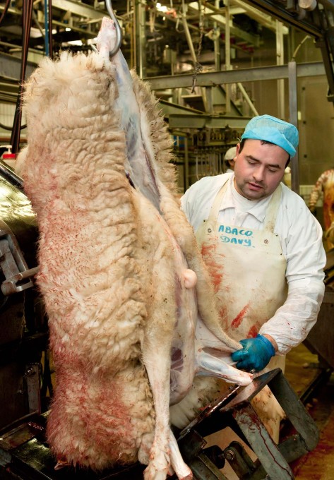 Since changes in regulations and various protests organised by animal rights associations, the abattoir was relocated to an adjacent building on the same site in the 1990s. (Photo: &copy; Abattoir NV)